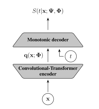 conv-transformer models